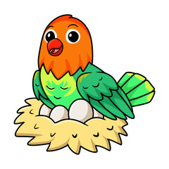 Cute violin love bird cartoon with eggs in the nest