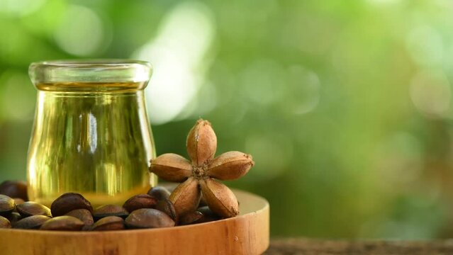 Plukenetia volubilis or Sacha inchi fruit ,seeds and oil on nature background.