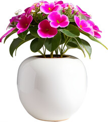 Flowers vase decoration plant planted in a pot on a white png background