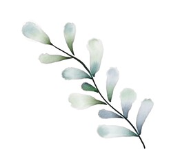 Watercolor green leaf on white. Abstract branch