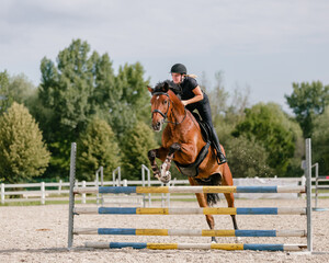 Side view of a beautiful chestnut horse with a female rider, jumping over hurdles in the open arena...