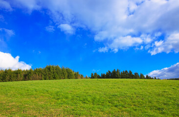 Green Grass Field Landscape with clouds and blue sky in the background.