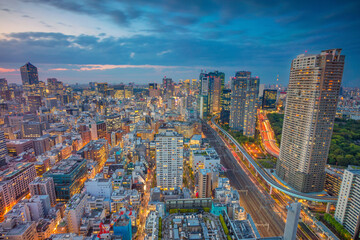 Cityscape image of Tokyo, Japan during sunset.