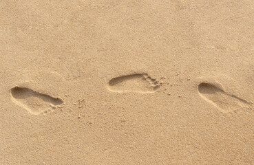 Fototapeta na wymiar Small child footprints on brown sand at the beach