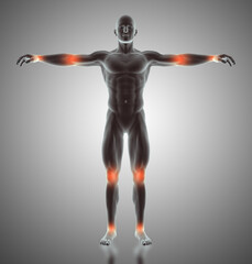 3D render of a male figure with joints highlighted