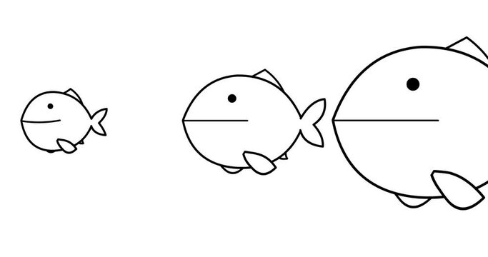 Big fish eating little fish – four fish whiteboard. Cartoon business metaphor. Modern explainer motion graphic version. Large and small. Seamless loop isolated.