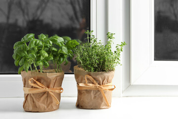 Aromatic potted basil and thyme on windowsill indoors. Space for text