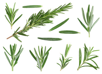 Set with fresh rosemary isolated on white