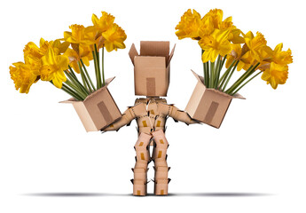 Boxman holding large boxes of yellow flowers. Isolated on a white background. Flower delivery or...