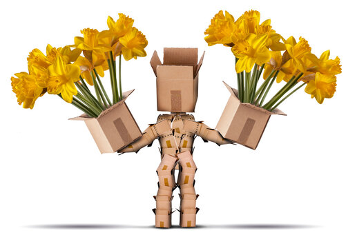 Boxman holding large boxes of yellow flowers. Isolated on a white background. Flower delivery or gift concept