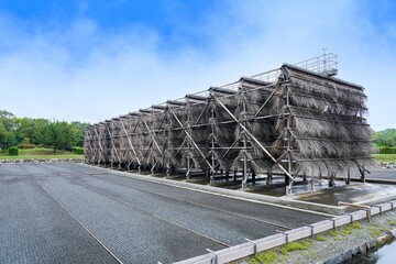 流下式枝条架塩田の情景