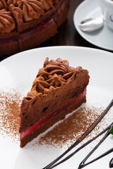 Delicious chocolate cake on a white plate