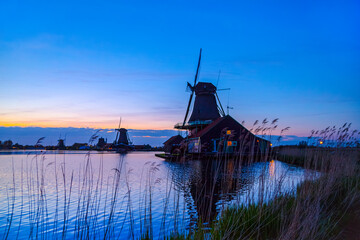 Fototapeta premium Evening River Zaan with Dutch windmills in Zaandam, Netherlands. Sunset landscape with windmills and field wild herbs and flowers. Sunset landscape with windmills and field wild herbs and flowers.