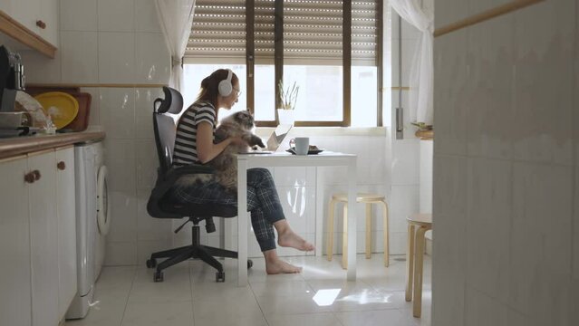 Business woman working at home and petting her cat