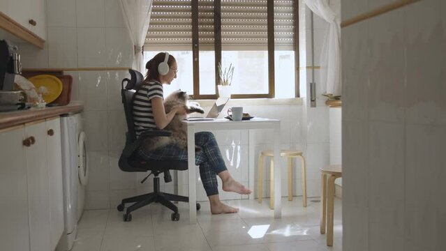 Woman with fluffy cat tapping keyboard of a laptop