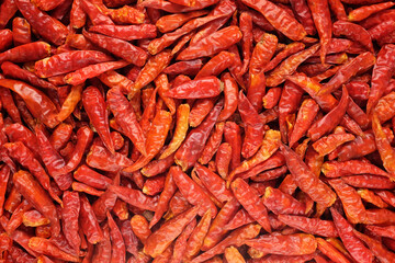 Dried spicy red birds eye chillis as an abstract background texture
