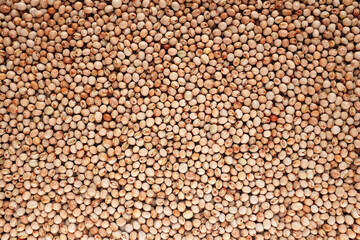Dried pigeon peas as an abstract background texture