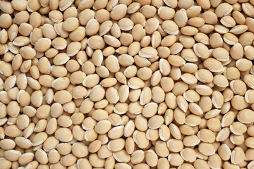 Dried bitter neavy beans as an abstract background texture
