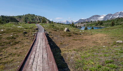Boardwalk leading to a viewpoint at Rock Isle Lake on the border of Mount Assiniboine Provincial Park and Banff National Park