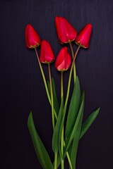 bouquet of red unblown tulips on a black surface
