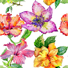 Wildflower hibiscus flower pattern  in a watercolor style isolated. Aquarelle wild flower for background, texture, wrapper pattern, frame or border.