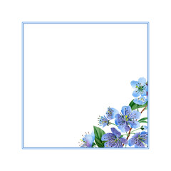 Wildflower cherry flower frame in a watercolor style isolated. Full name of the plant: cherry. Aquarelle wild flower for background, texture, wrapper pattern, frame or border.