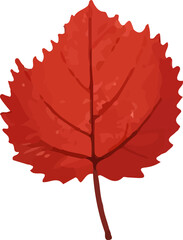 Red autumn leaf.Colorful leaf icon . Watercolor autumn leaf.