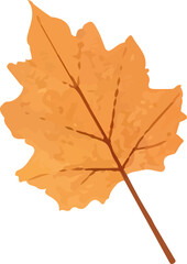 Autumn leaf.Colorful leaf icon . Watercolor autumn leaf.
