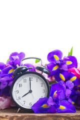Spring time concept - retro alarm clock with fresh flowers, copy space on white background