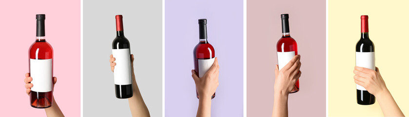 Collage of female hands holding bottles of wine on color background - Powered by Adobe