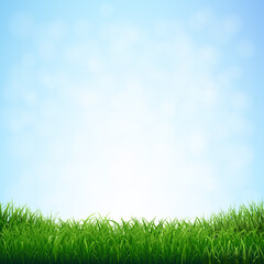 Fototapeta na wymiar Grass With Blue Sky With Gradient Mesh, Vector Illustration