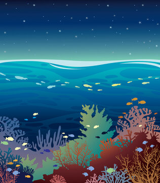 Underwater coral reef seabed with school of fish and water surface with night starry sky. Seascape vector illustration.