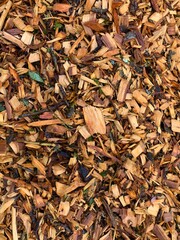 Recently Cut Arborists Wood Chips Used As Mulch 