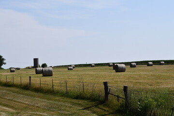 Hay Bales in a Farm Field
