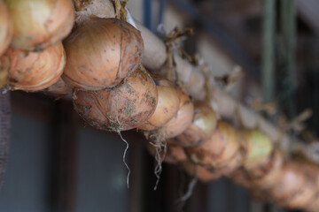 軒先に吊るされたタマネギ