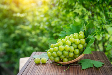 Green grape in Bamboo basket on wooden table in garden, Shine Muscat Grape with leaves in blur...