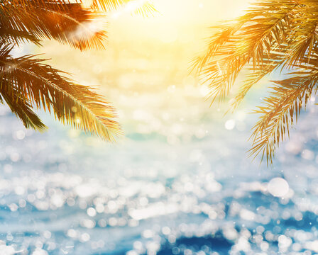 Tropical beach with coconut tree with sunray reflected on the sea on sunset