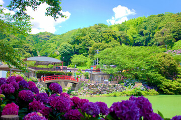 [愛知県]蒲郡市の形原温泉あじさいの里