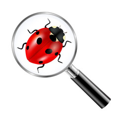 Black Magnifying Glass With Ladybug Gradient Mesh, Vector Illustration