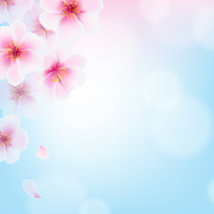 Cherry Flowers With Gradient Mesh, Vector Illustration