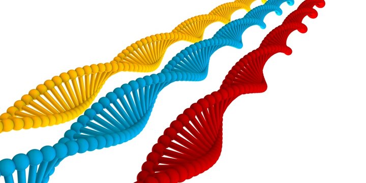 DNA Strand Helix Simple Abstract Background on White