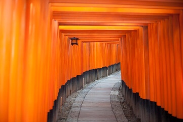 Tunnel of red votive Buddhist Torii gates at the Fushimi Inari-taisha shrine, Japan leading uphill towards the temple in a disappearing curve