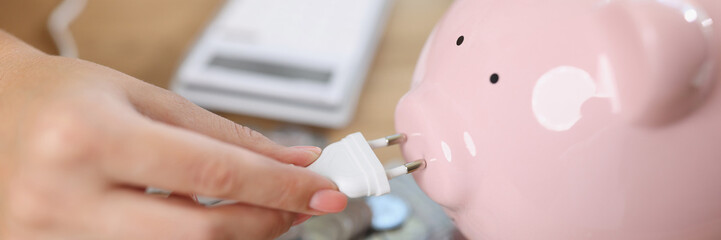 Piggy bank with power plug, banknotes and coins