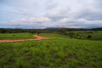 Fototapeta premium Beautiful savannah and beautiful dirt paths.