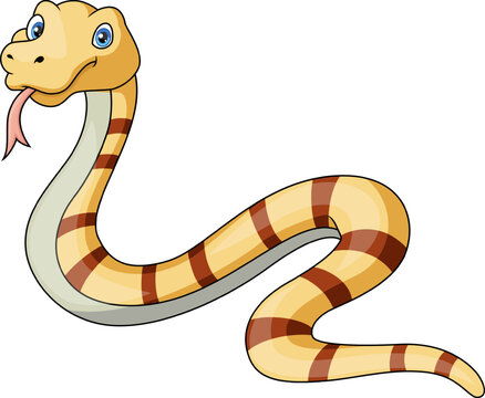 Cute snake cartoon on white background