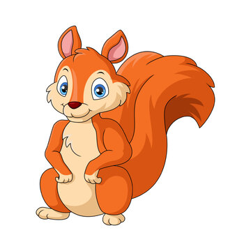Cute squirrel cartoon on white background