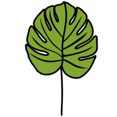 Monstera doodle