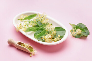 Plate with fresh linden flowers and leaves on pink background