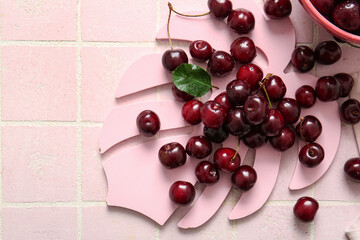 Decorative palm leaf with sweet cherries on pink tile background