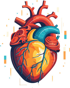 human heart vector illustration on isolated background